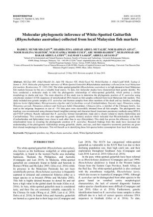 Molecular Phylogenetic Inference of White-Spotted Guitarfish (Rhynchobatus Australiae) Collected from Local Malaysian Fish Markets