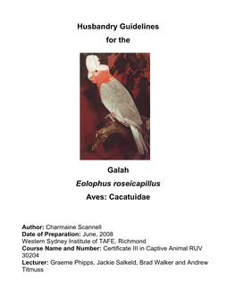 Husbandry Guidelines for the Galah Eolophus Roseicapillus Aves