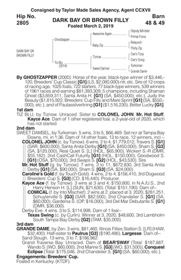 DARK BAY OR BROWN FILLY Barn 48 & 49 Hip No. 2805