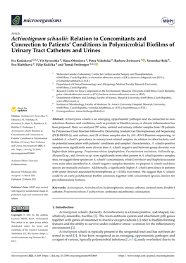 Actinotignum Schaalii: Relation to Concomitants and Connection to Patients’ Conditions in Polymicrobial Bioﬁlms of Urinary Tract Catheters and Urines