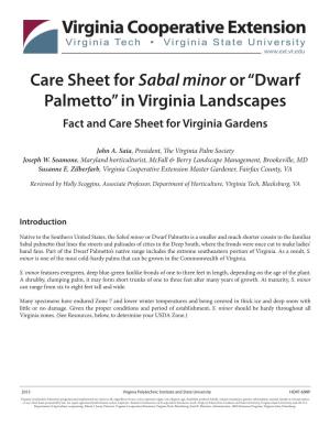 Care Sheet for Sabal Minor Or “Dwarf Palmetto” in Virginia Landscapes Fact and Care Sheet for Virginia Gardens