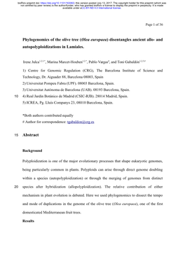 Olea Europaea) Disentangles Ancient Allo- and Autopolyploidizations in Lamiales