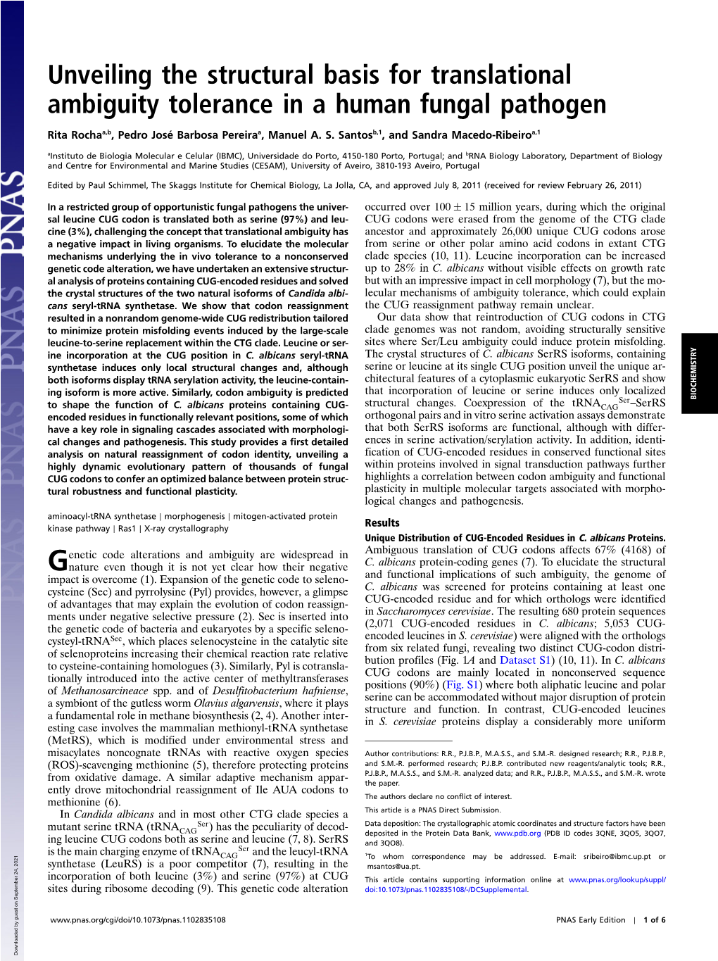 Unveiling the Structural Basis for Translational Ambiguity Tolerance in a Human Fungal Pathogen