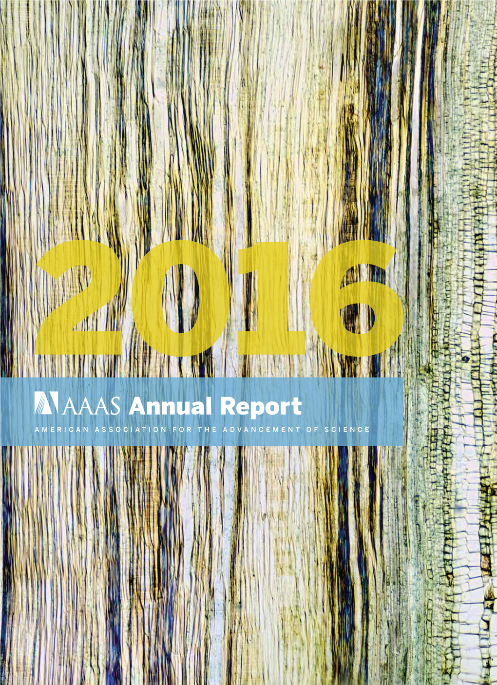 Annual Report