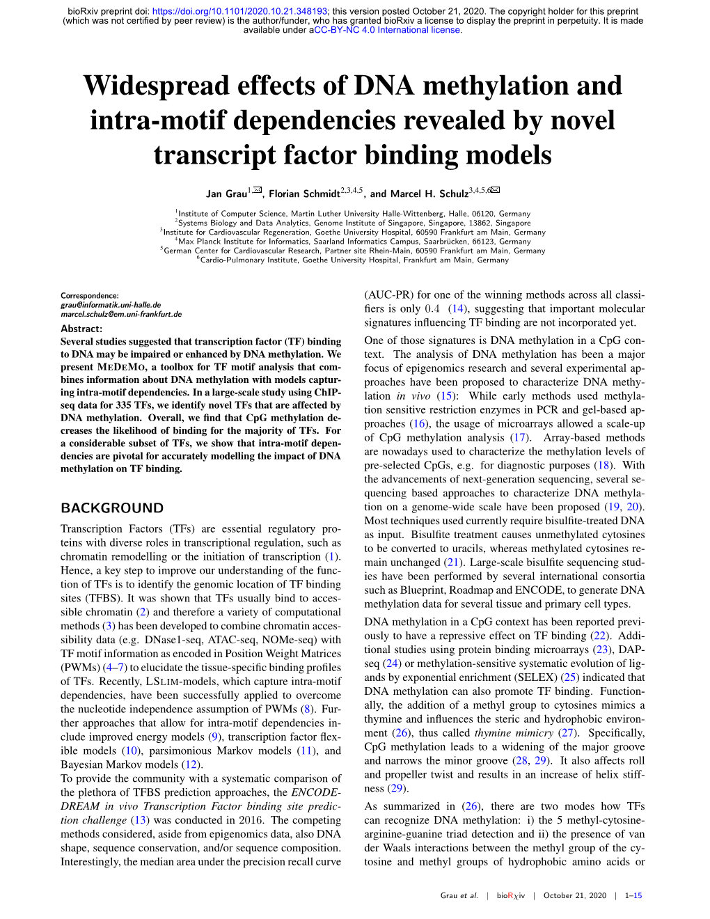 Widespread Effects of DNA Methylation and Intra-Motif Dependencies Revealed by Novel Transcript Factor Binding Models