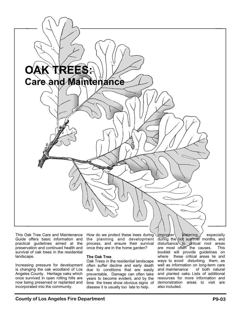 OAK TREES: Care and Maintenance