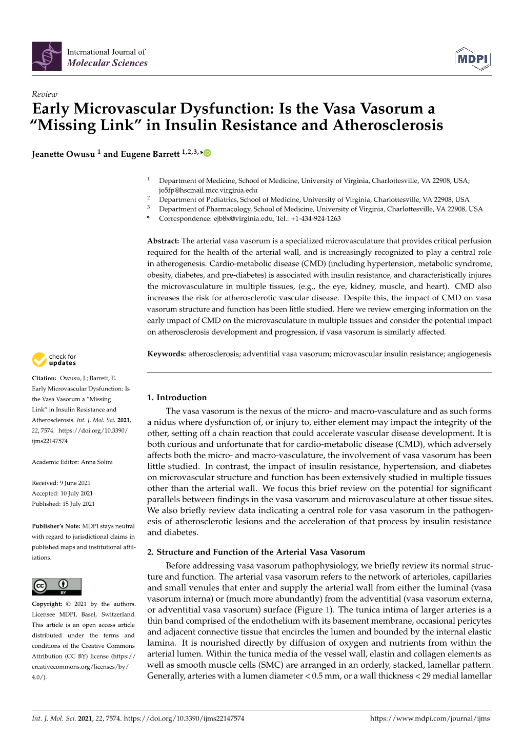 Early Microvascular Dysfunction: Is the Vasa Vasorum a “Missing Link” in Insulin Resistance and Atherosclerosis