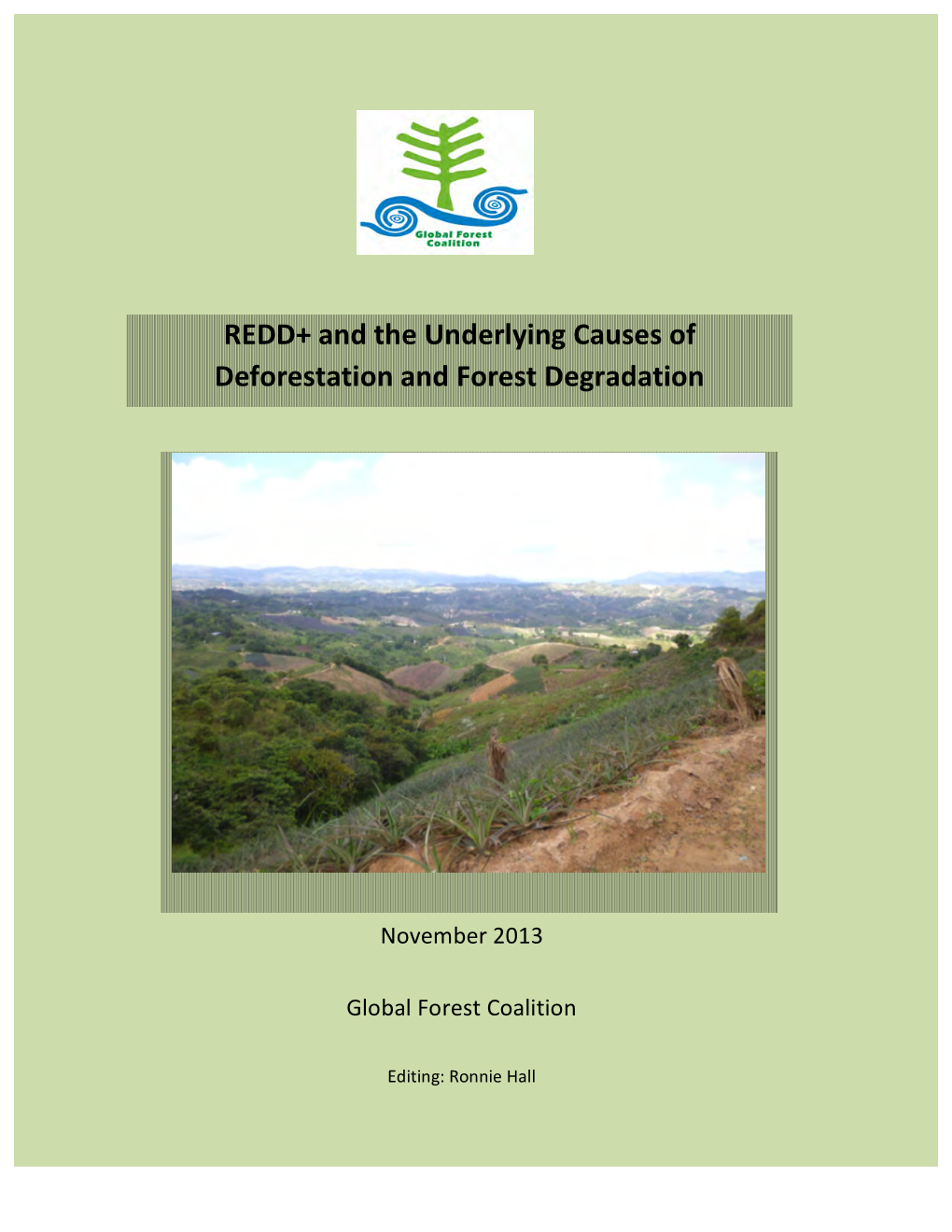 REDD+ and the Underlying Causes of Deforestation and Forest Degradation