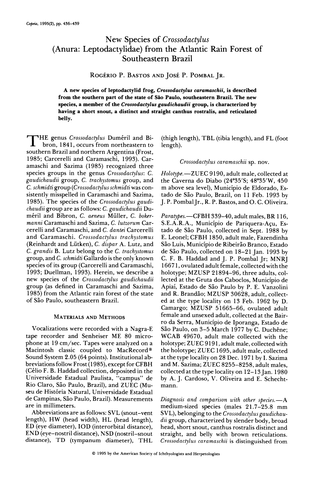 New Species of Crossodactylus (Anura: Leptodactylidae)From the Atlantic Rain Forest of Southeastern Brazil