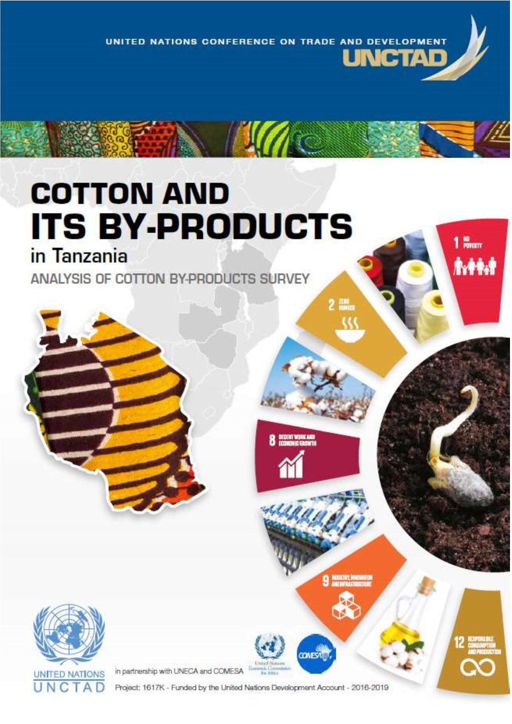 Analysis of Cotton By-Products Survey in Tanzania