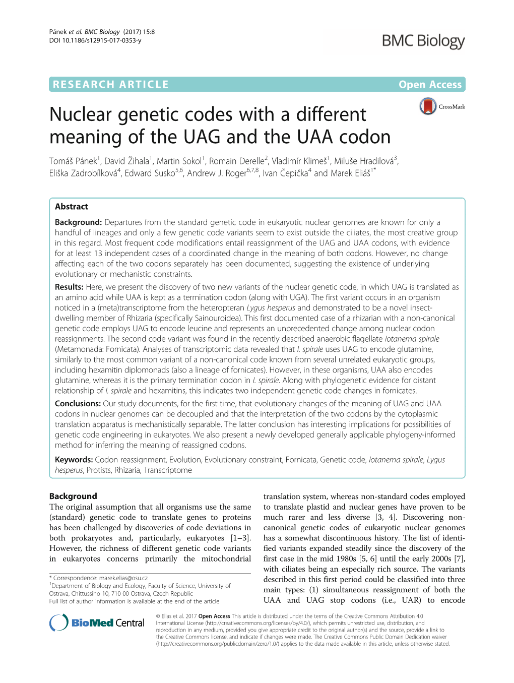 Nuclear Genetic Codes with a Different Meaning of the UAG and the UAA