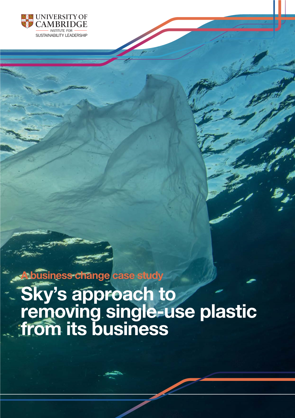 Sky Removing Single Use Plastic