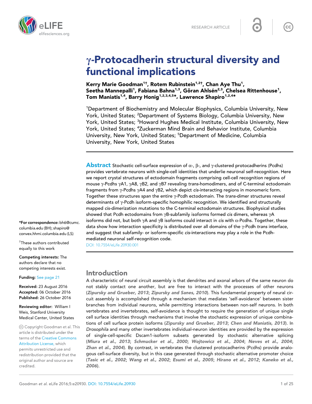 G-Protocadherin Structural Diversity and Functional Implications