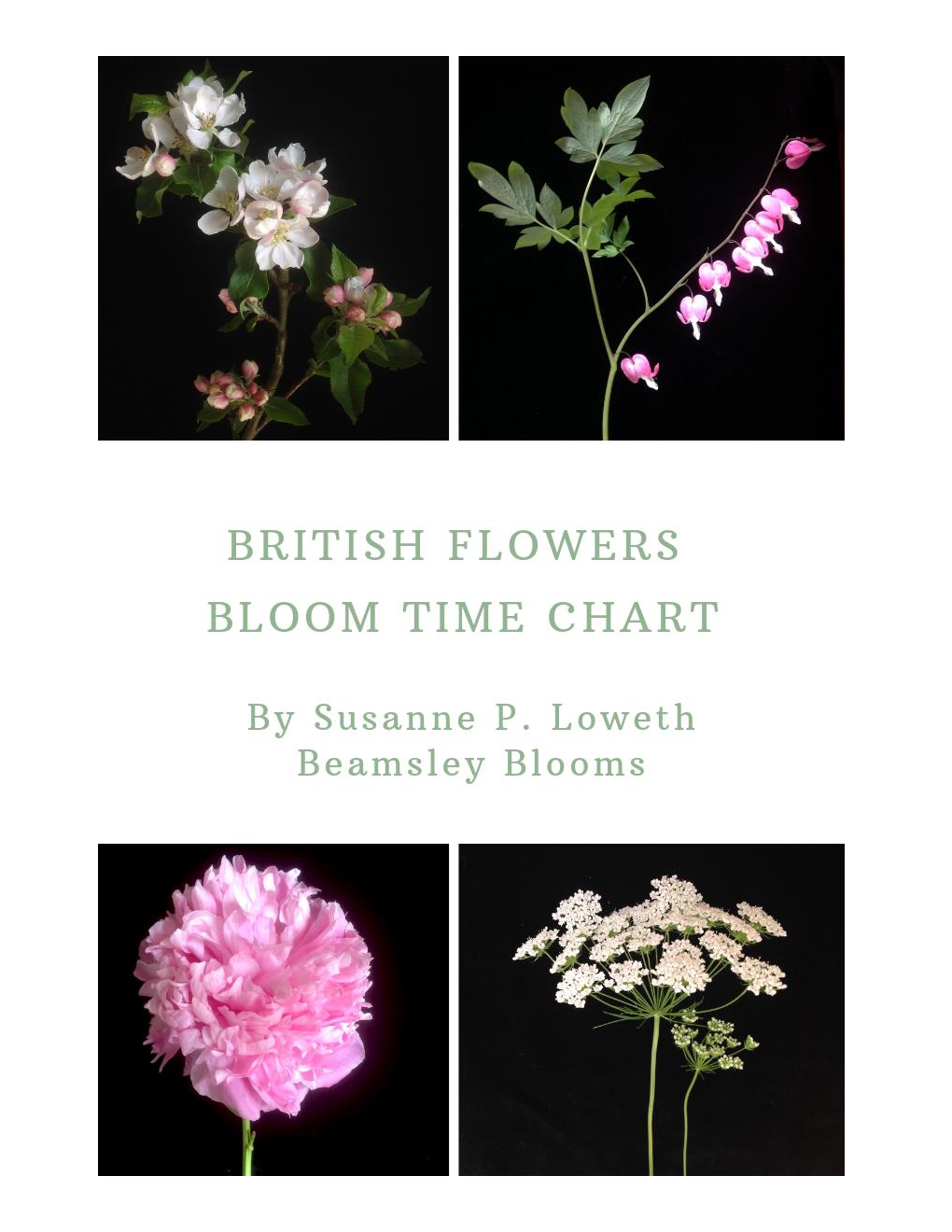 Download the British Flowers Bloom Time Chart