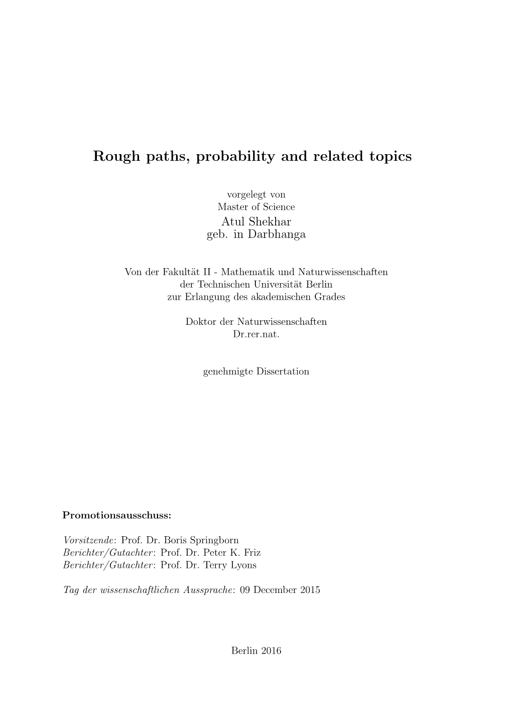 Rough Paths, Probability and Related Topics