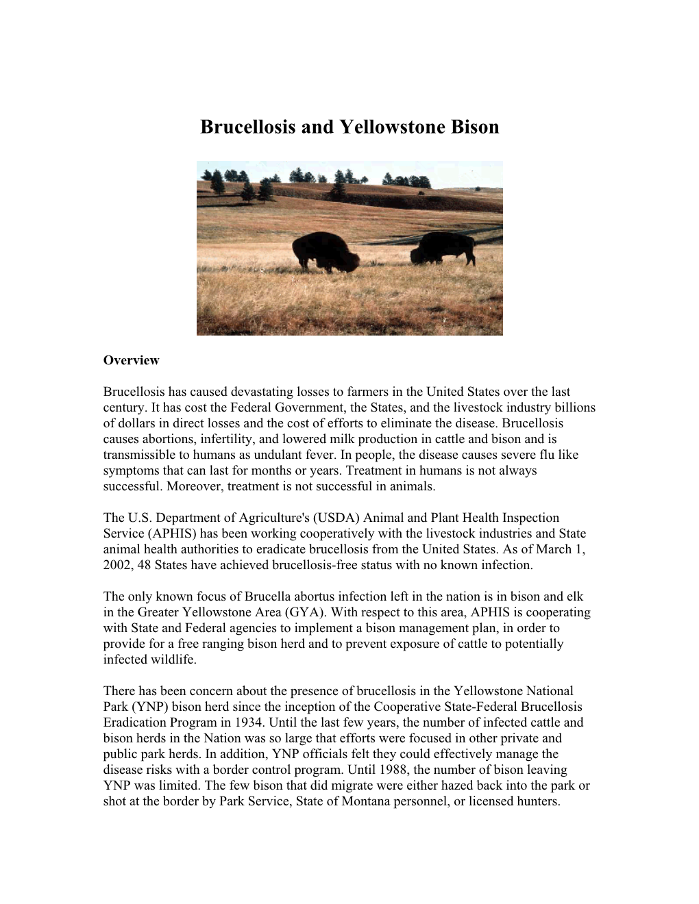 Brucellosis and Yellowstone Bison