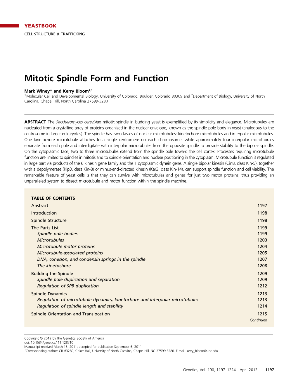 Mitotic Spindle Form and Function