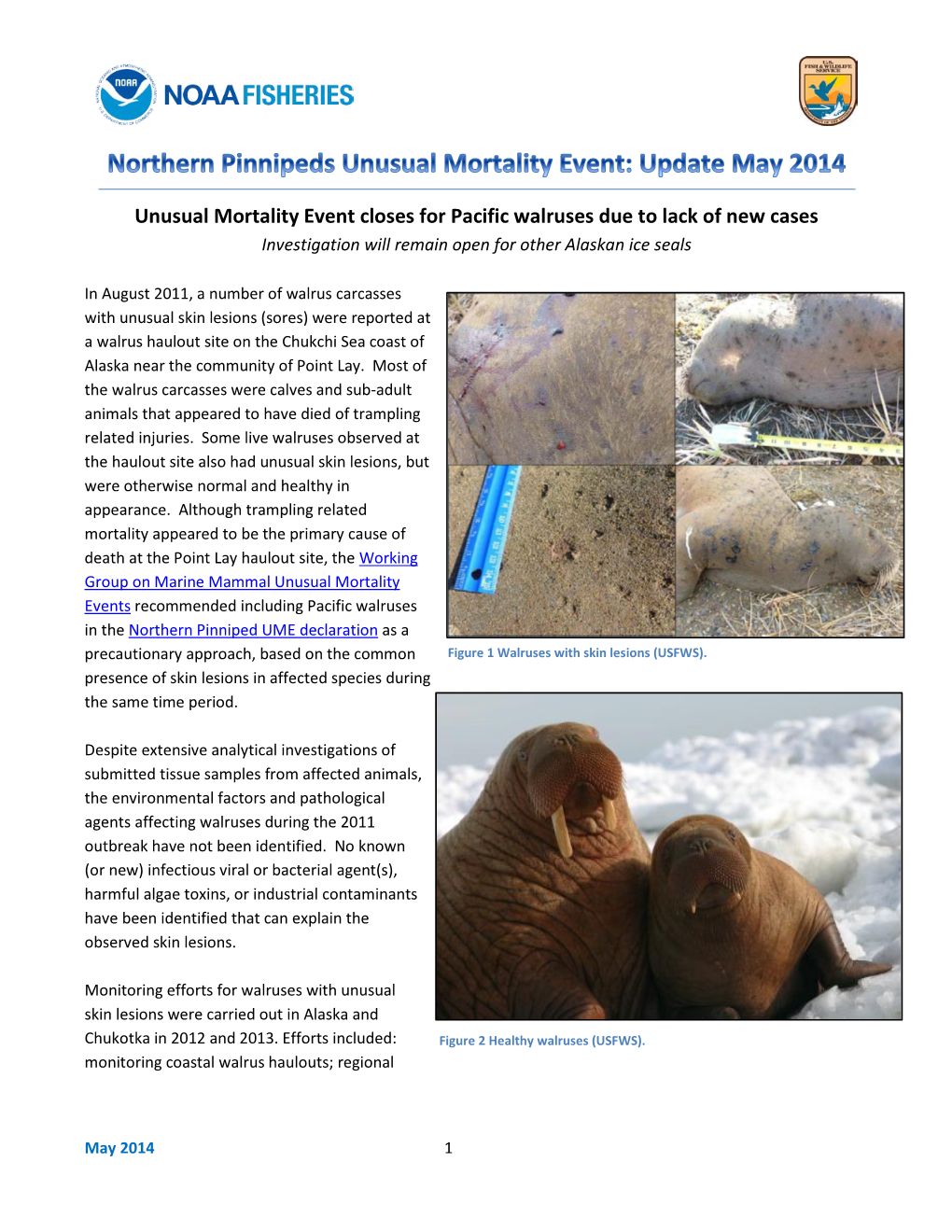 Northern Pinnipeds Unusual Mortality Event Closure: Update May 2014