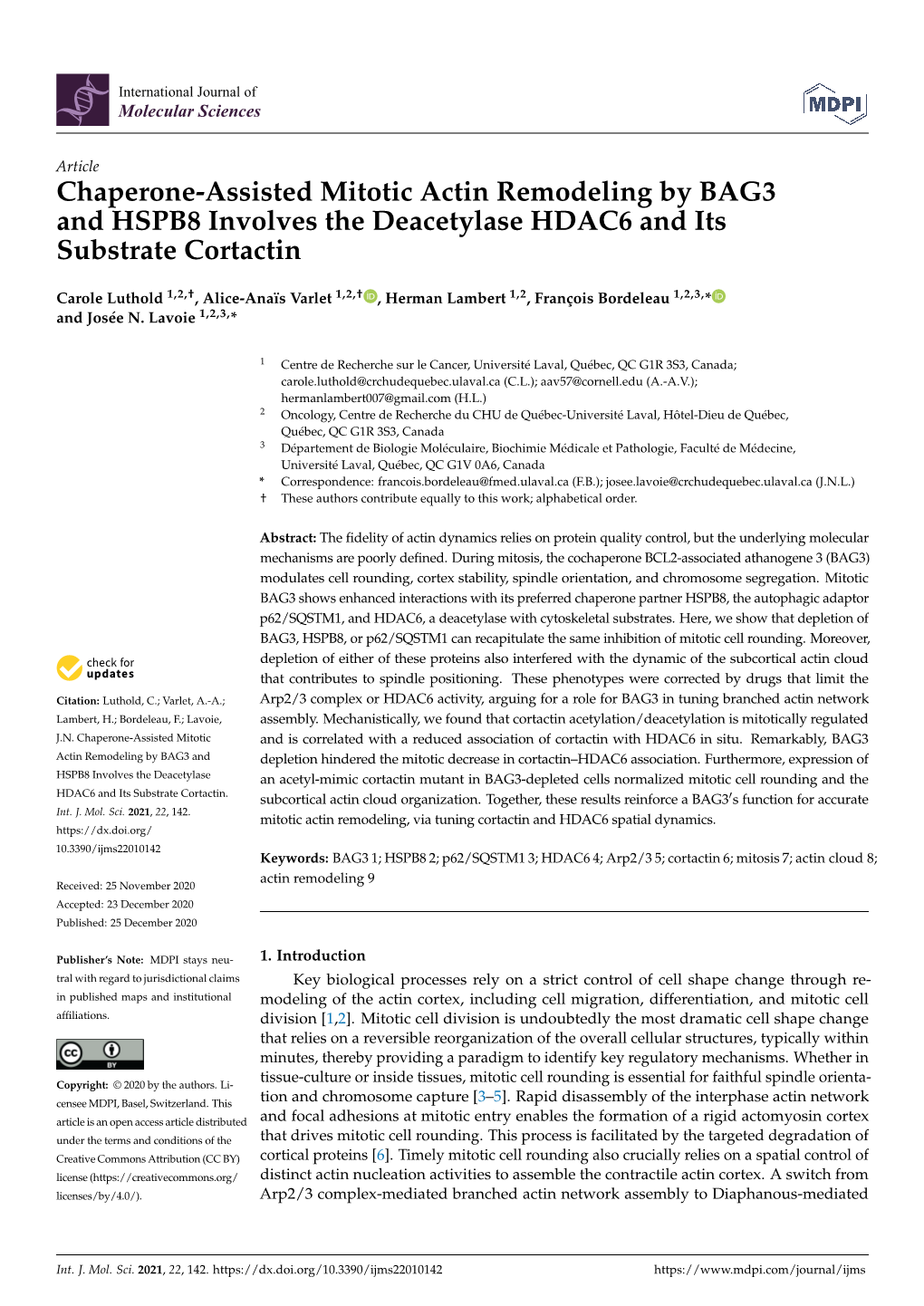 Chaperone-Assisted Mitotic Actin Remodeling by BAG3 and HSPB8 Involves the Deacetylase HDAC6 and Its Substrate Cortactin