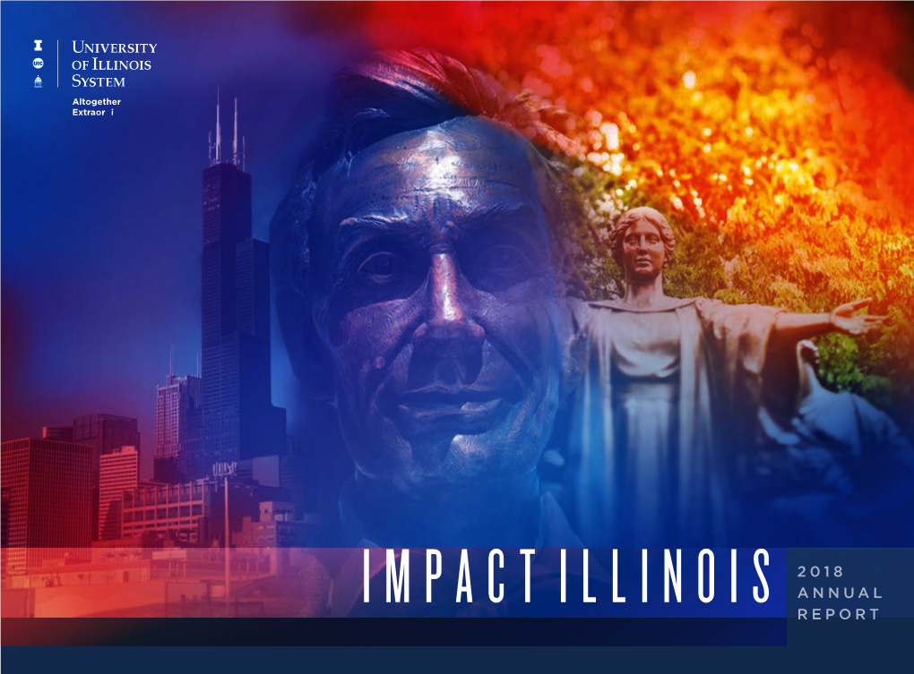 Impact Illinois 2018 Annual Report