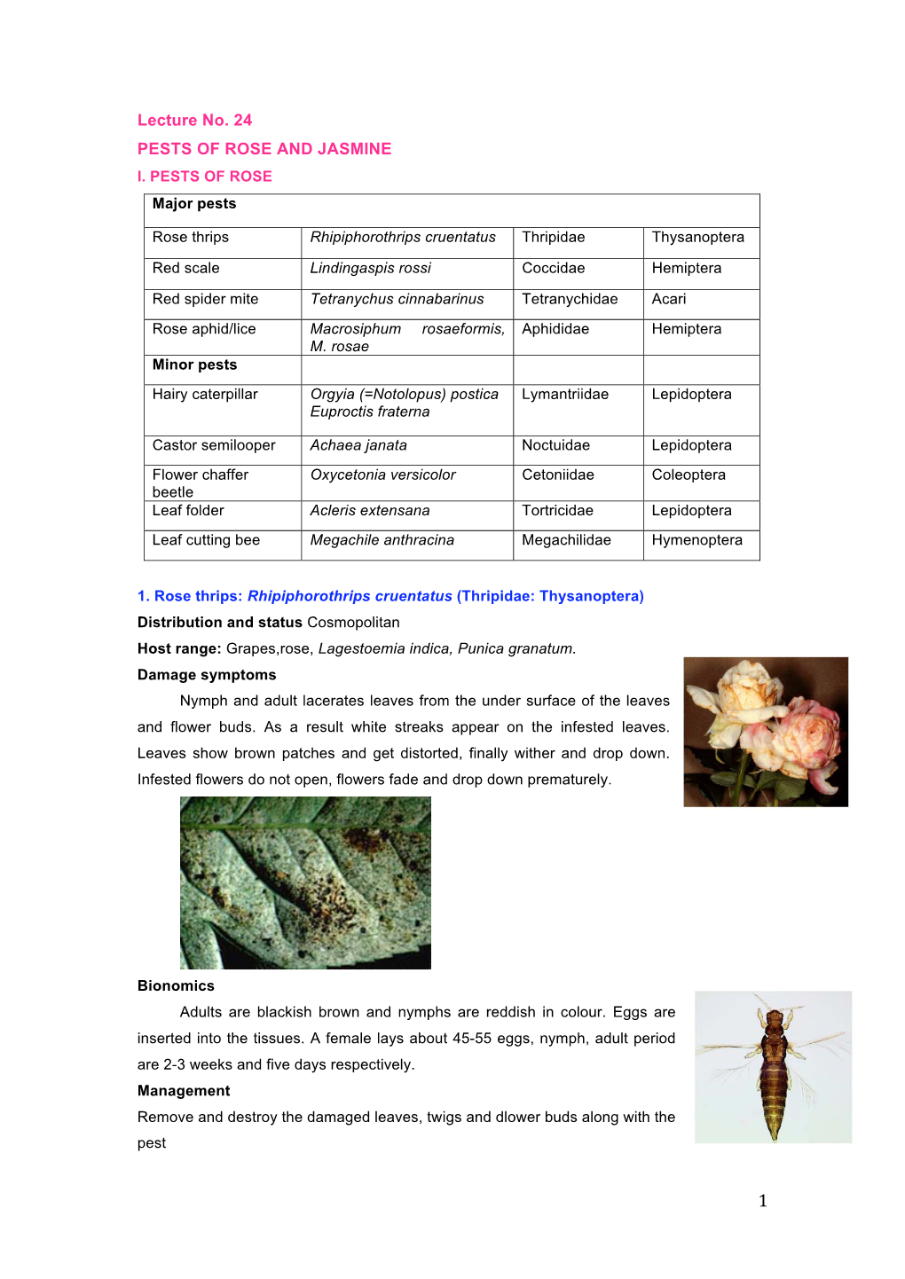 Lecture No. 24 PESTS of ROSE and JASMINE I