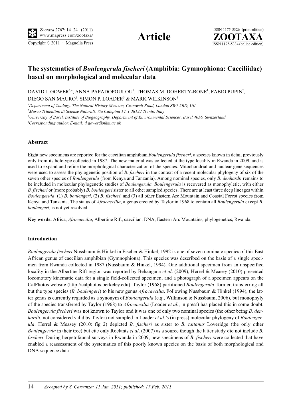 The Systematics of Boulengerula Fischeri (Amphibia: Gymnophiona: Caeciliidae) Based on Morphological and Molecular Data