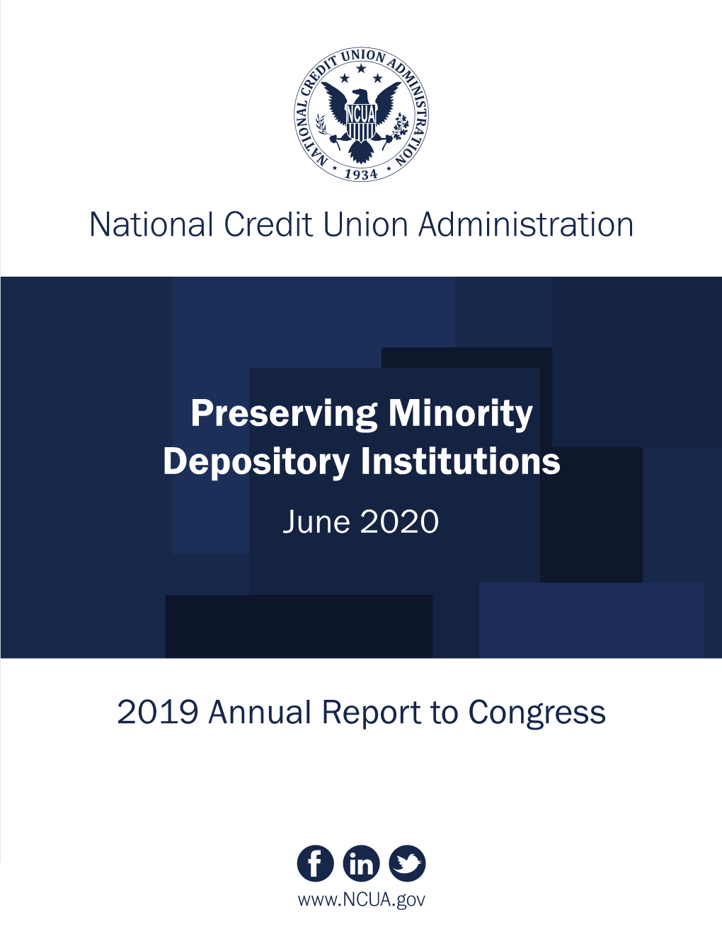 Preserving Minority Depository Institutions June 2020