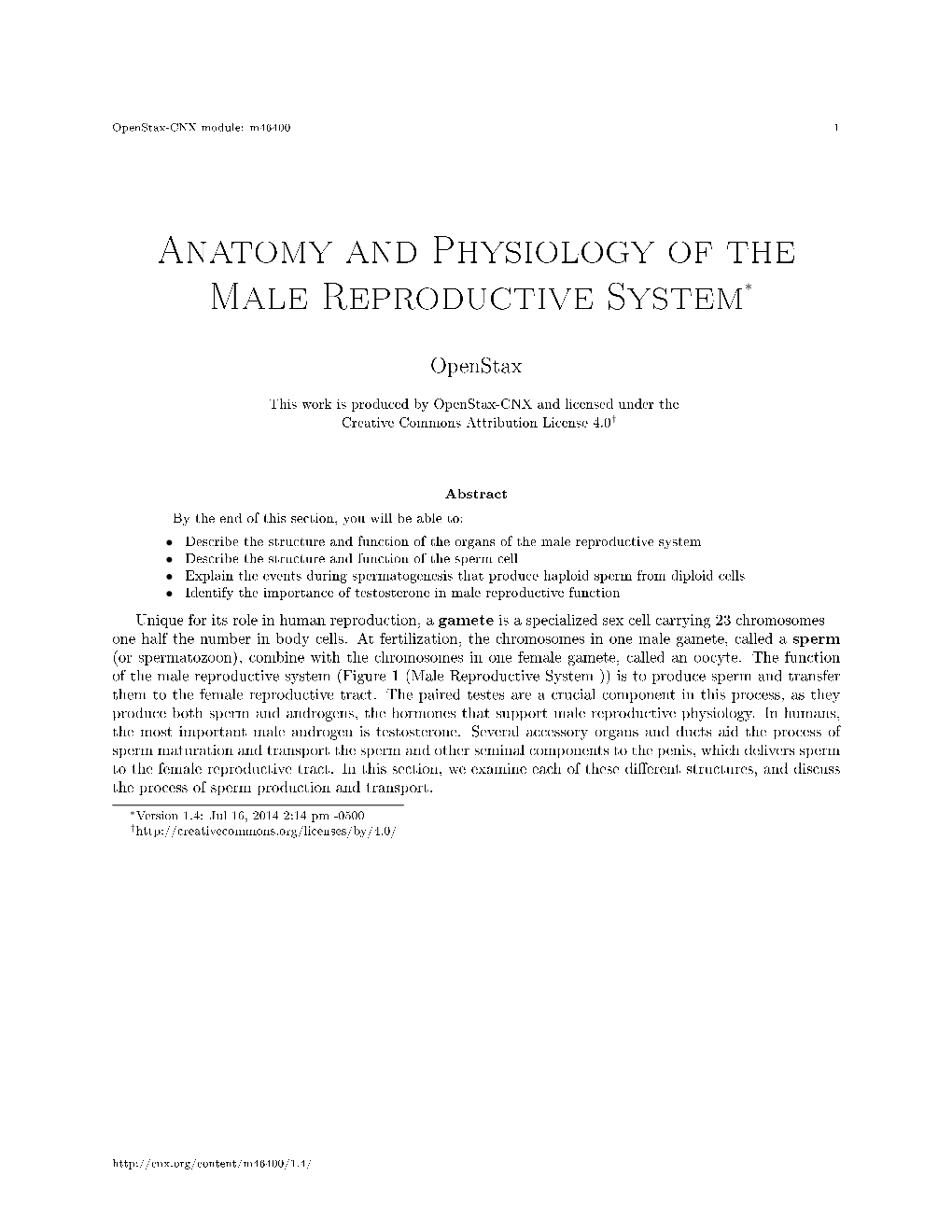 Anatomy and Physiology of the Male Reproductive System∗