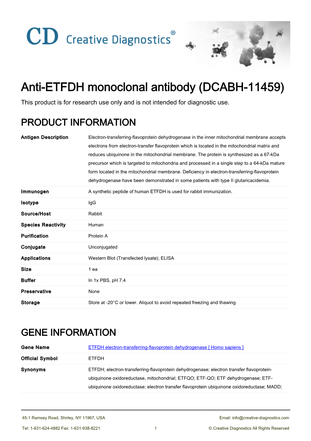 Anti-ETFDH Monoclonal Antibody (DCABH-11459) This Product Is for Research Use Only and Is Not Intended for Diagnostic Use