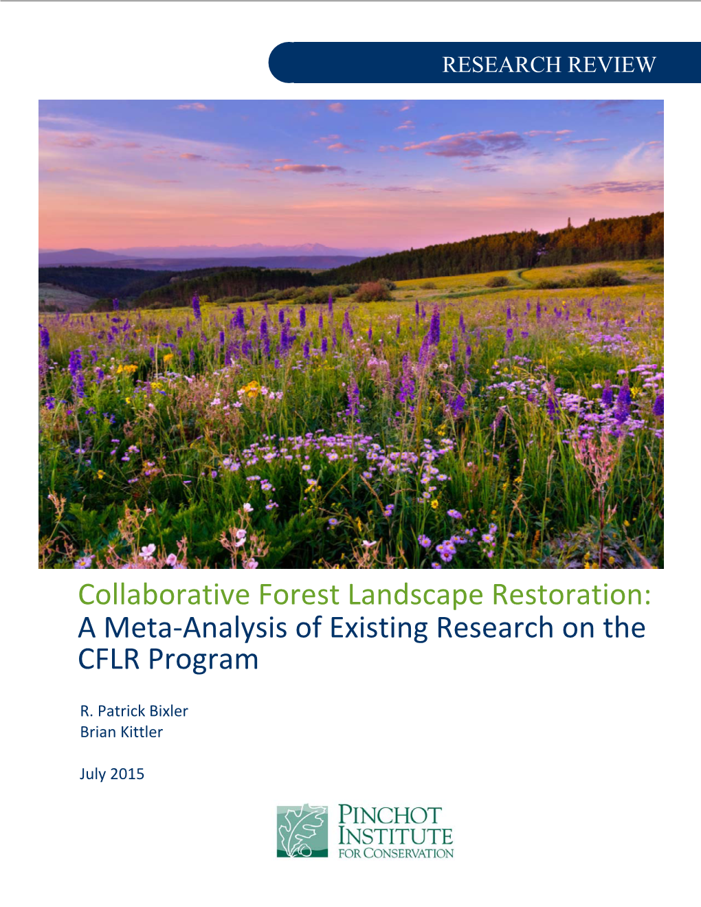 Collaborative Forest Landscape Restoration: a Meta‐Analysis of Existing Research on the CFLR Program