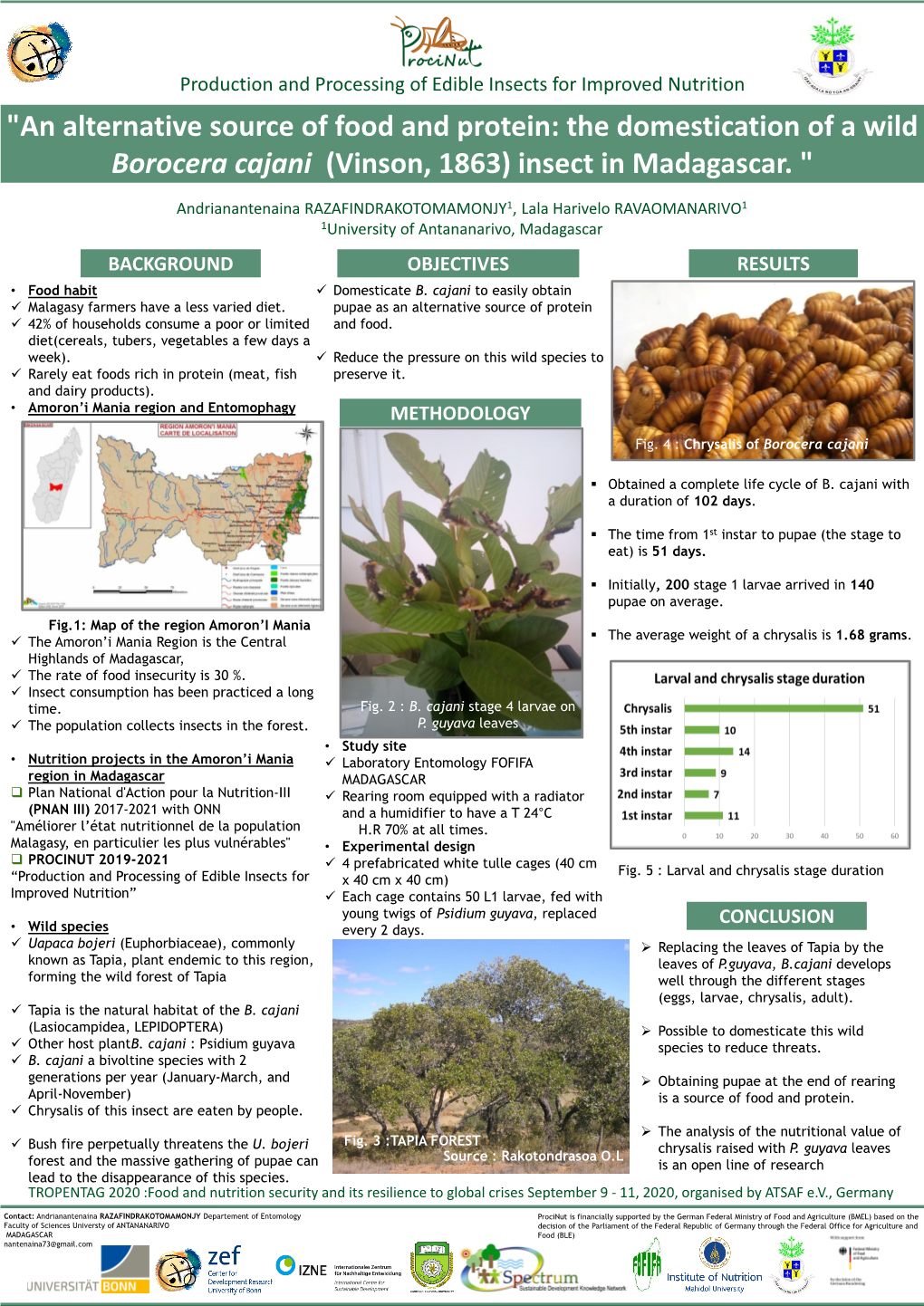 Domestication of a Wild Silkworm Borocera Cajani In