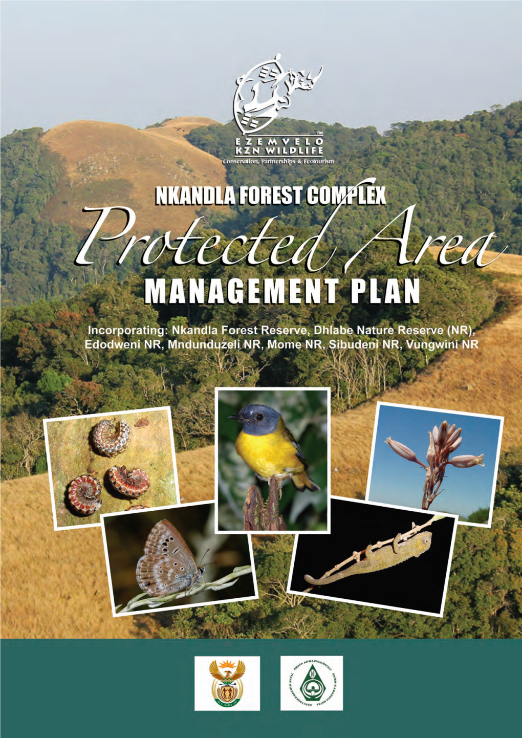 Management Plan