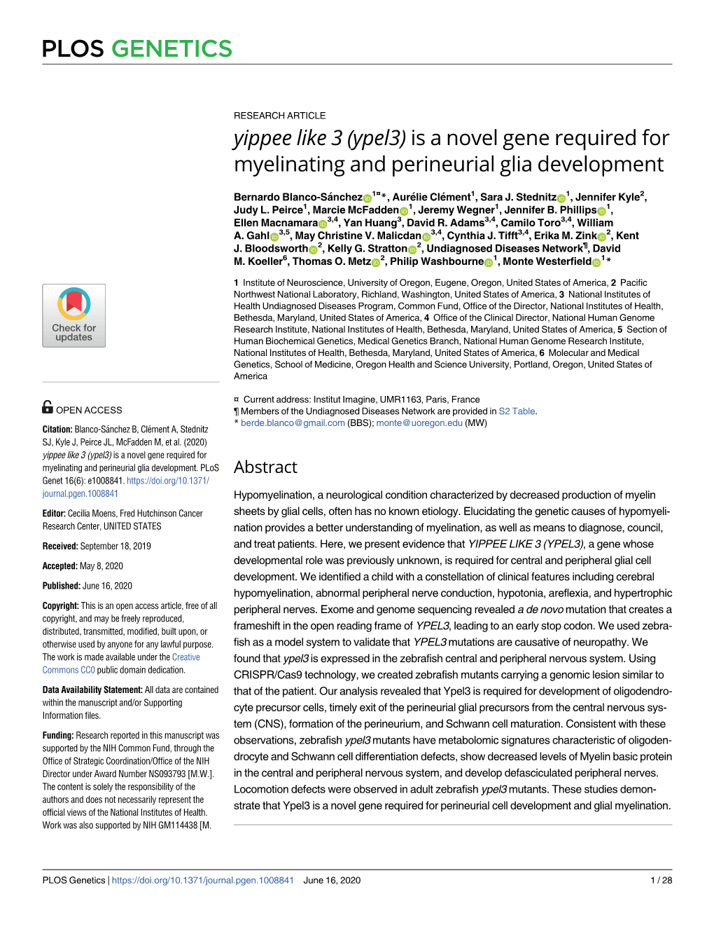 (Ypel3) Is a Novel Gene Required for Myelinating and Perineurial Glia Development