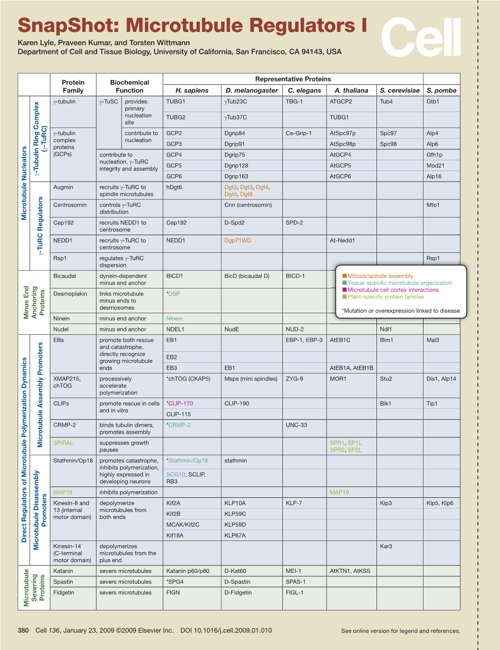 Snapshot: Microtubule Regulators I