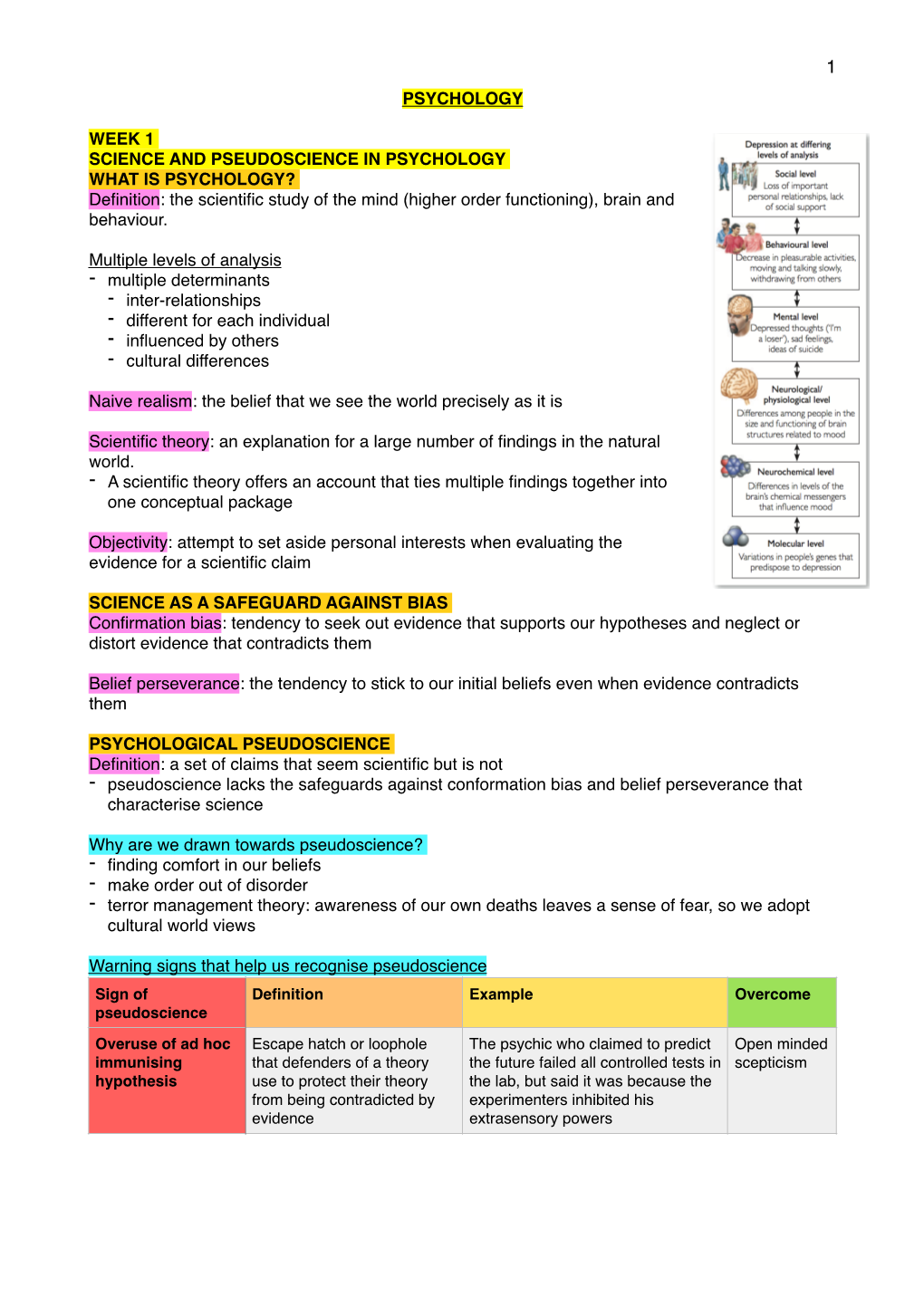 P Notes Copy