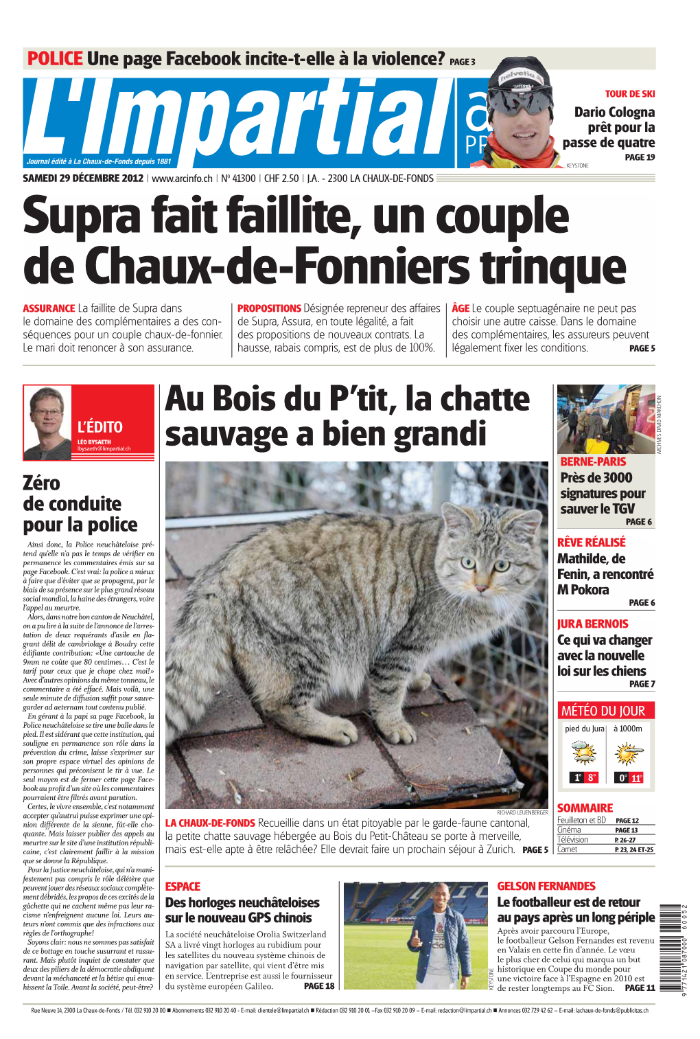 Au Bois Du P'tit, La Chatte Sauvage a Bien Grandi