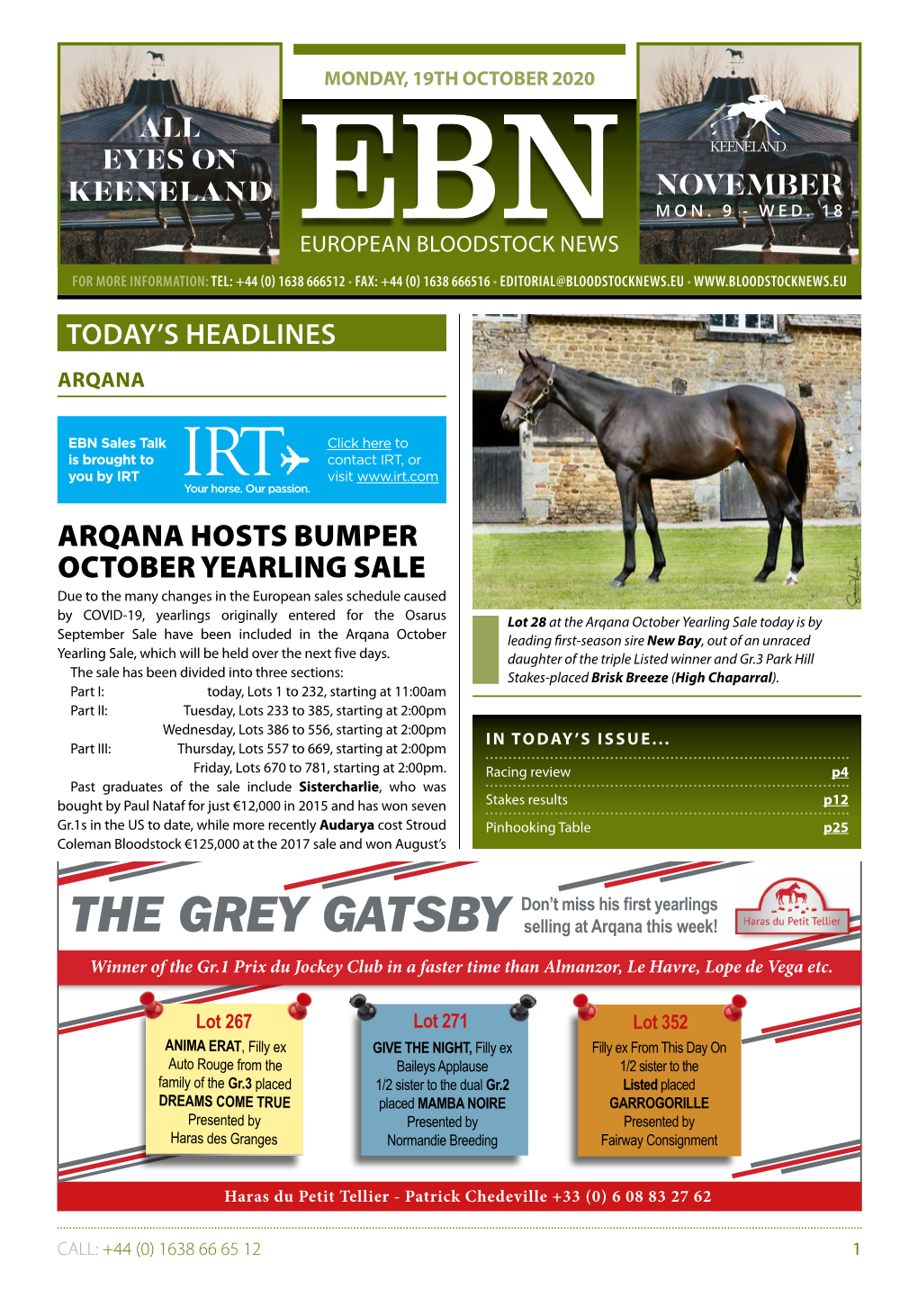 THE GREY GATSBY Selling at Arqana This Week! Winner of the Gr.1 Prix Du Jockey Club in a Faster Time Than Almanzor, Le Havre, Lope De Vega Etc