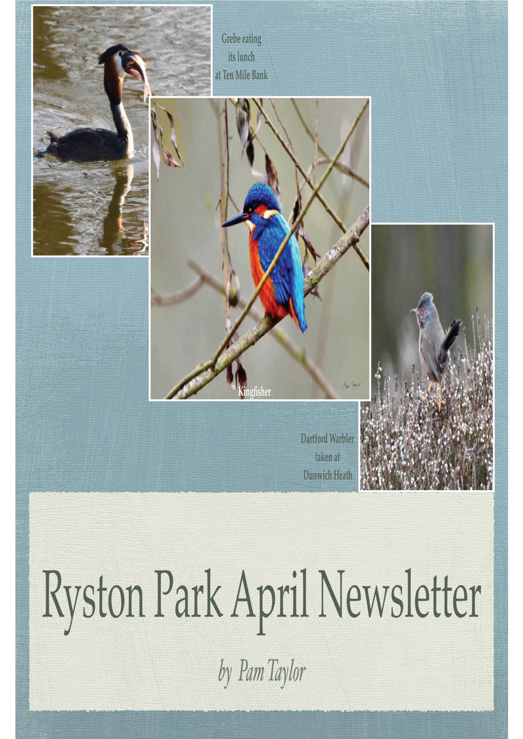 Ryston Park April Newsletter by Pam Taylor '!!7