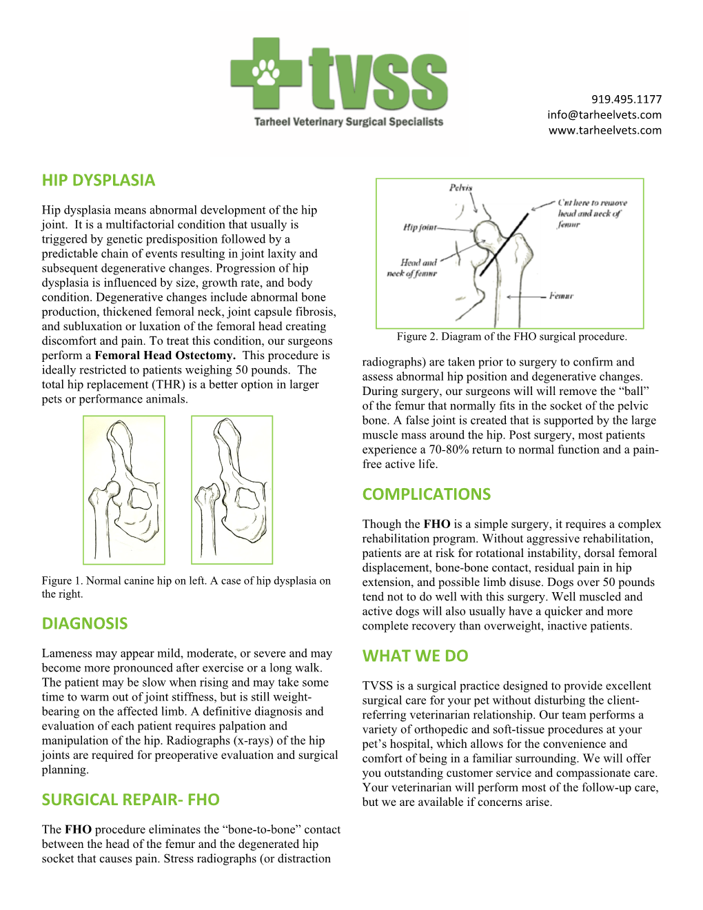 Femoral Head Ostectomy (FHO)