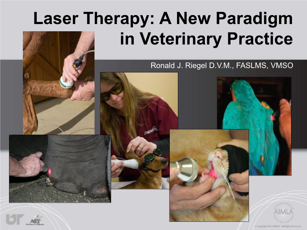 Laser Therapy: a New Paradigm in Veterinary Practice