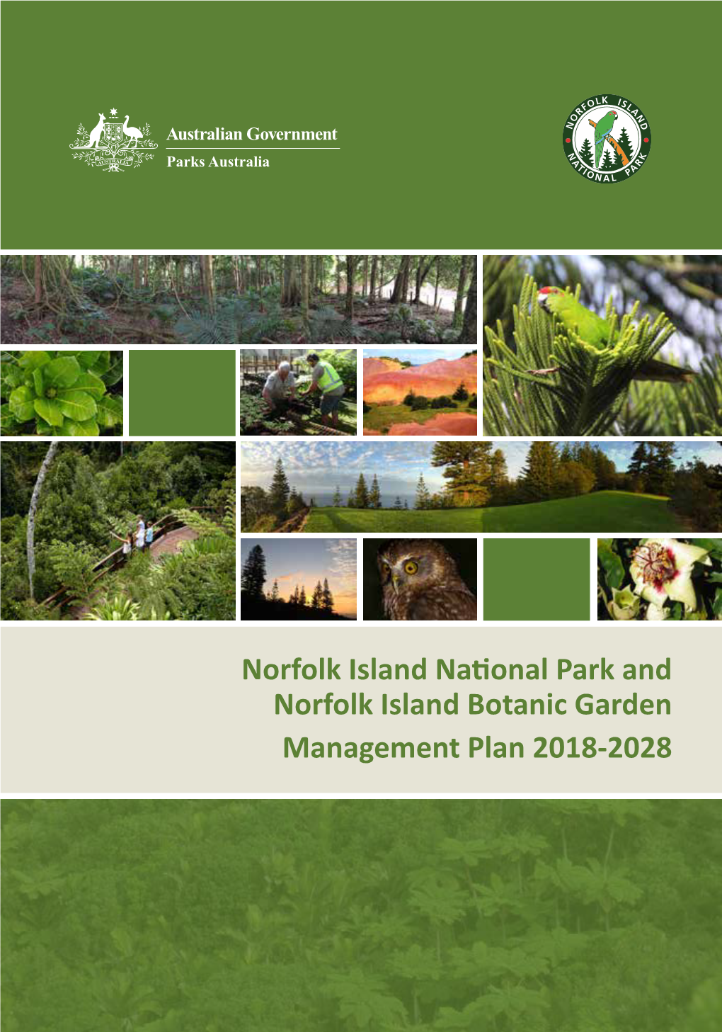 Norfolk Island Management Plan