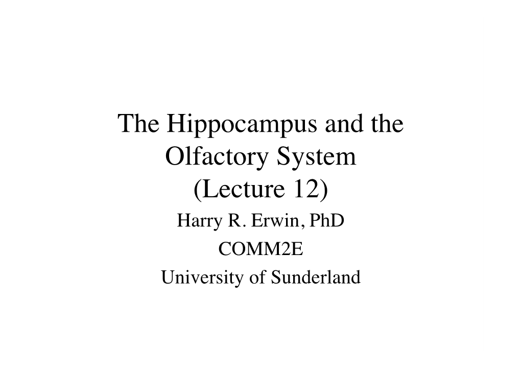 The Hippocampus and the Olfactory System (Lecture 12) Harry R