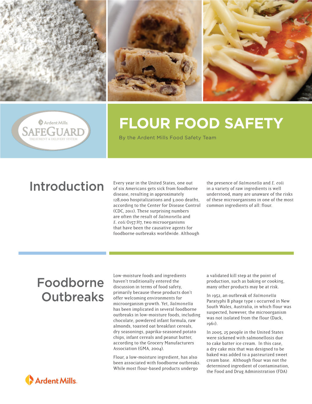 Flour Food Safety White Paper