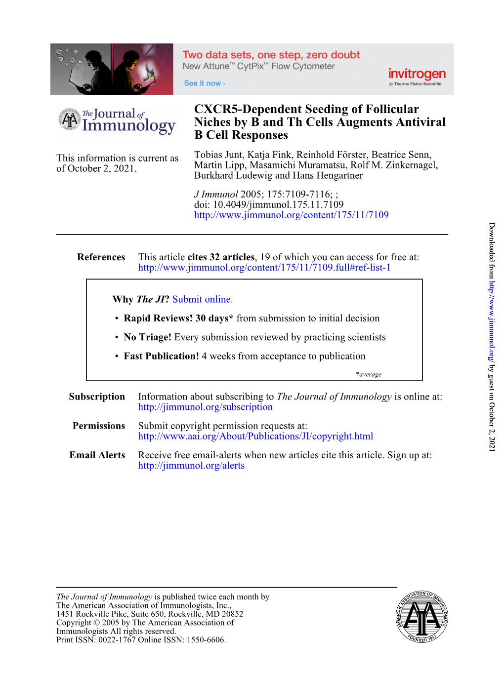 B Cell Responses Antiviral Niches by B and Th Cells Augments CXCR5