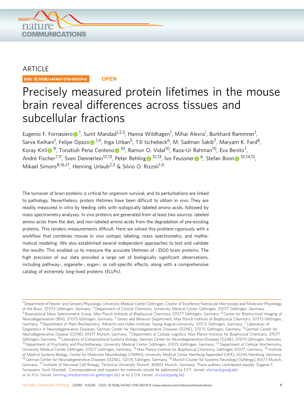Precisely Measured Protein Lifetimes in the Mouse Brain Reveal Differences Across Tissues and Subcellular Fractions