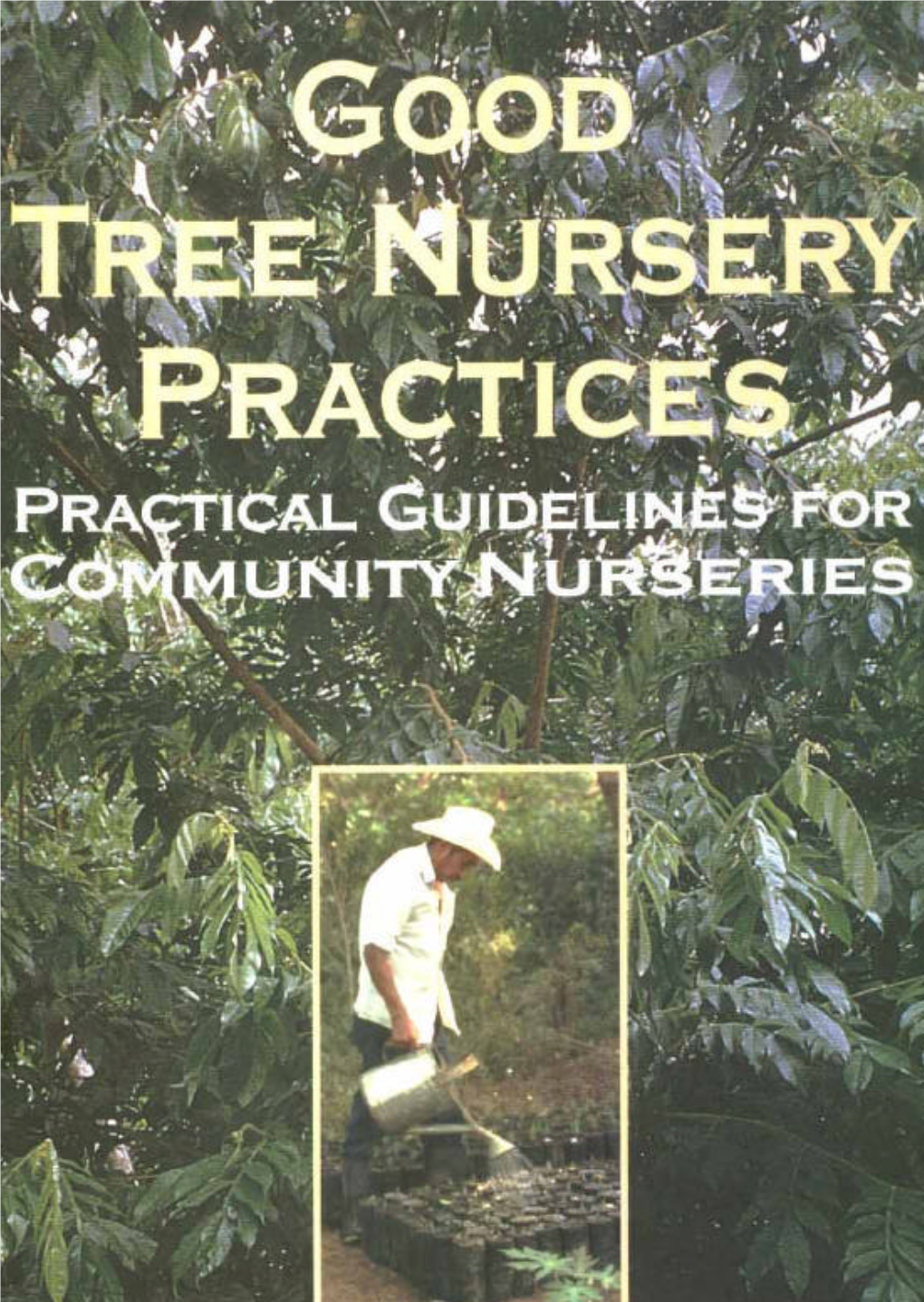 Good Tree Nursery Practices Practical Guidelines for Research Nurseries