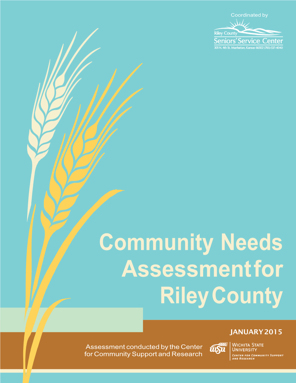 Community Needs Assessment for Riley County