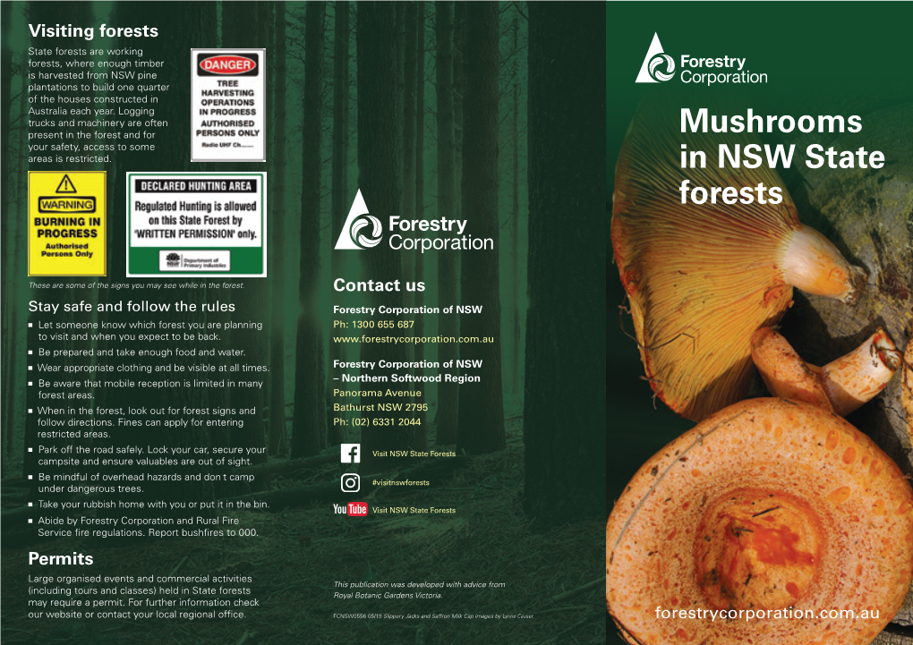 Mushrooms in NSW State Forests