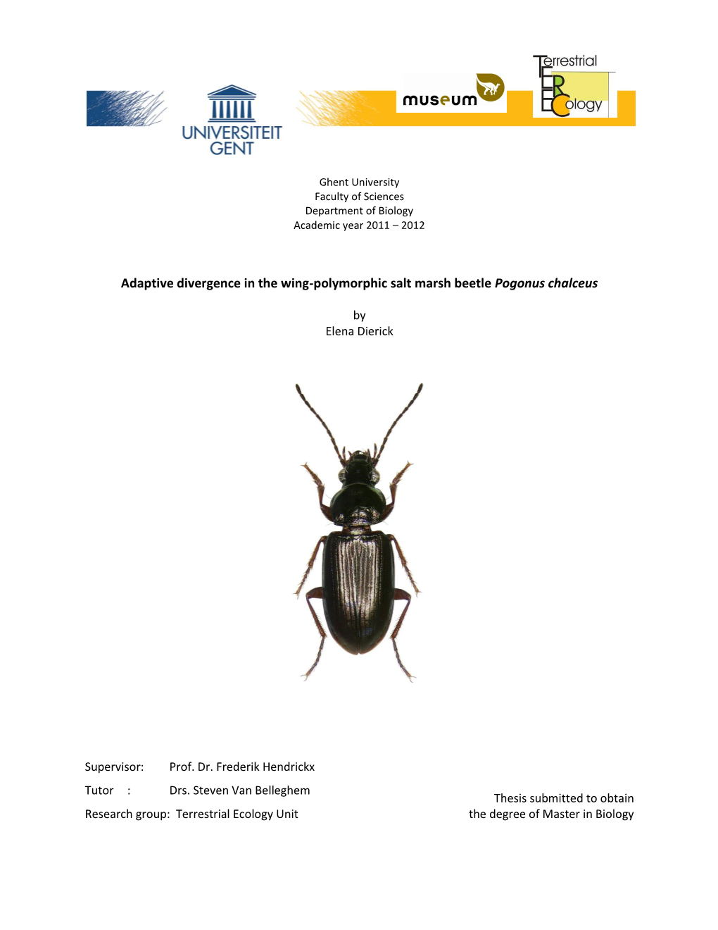 Adaptive Divergence in the Wing-Polymorphic Salt Marsh Beetle Pogonus Chalceus