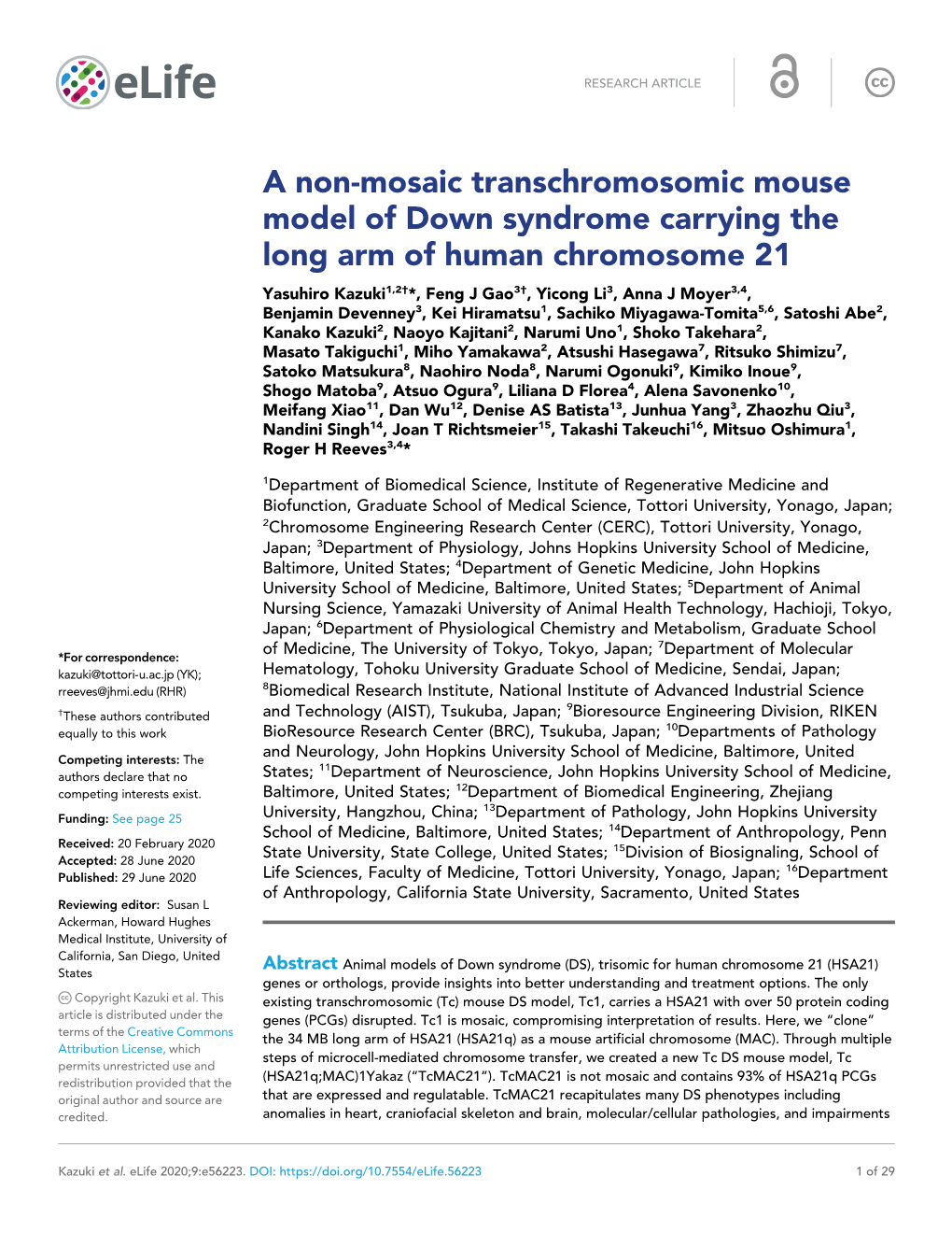 A Non-Mosaic Transchromosomic Mouse Model of Down Syndrome
